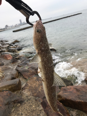 E.S.OとG.U.F.Uでボウズ逃れ^^…