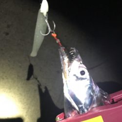 渋い中、なんとか！