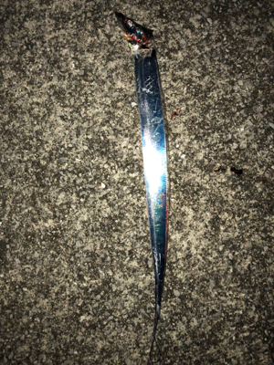 ドラゴン求めて(´༎ຶོρ༎ຶོ`)