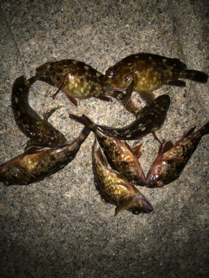 これからの季節の楽しみ！