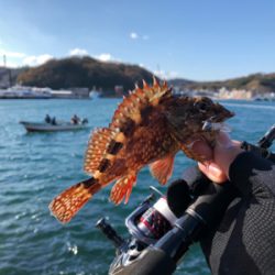 アジ釣りたかった…