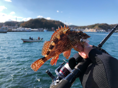 アジ釣りたかった…