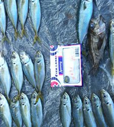 家島ライトゲーム