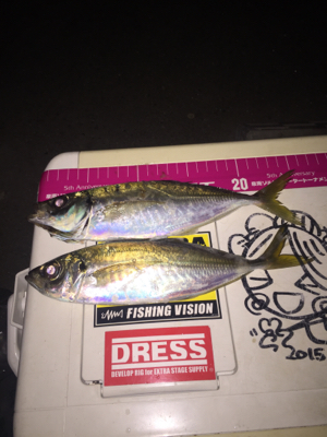 ちょこっとアジング