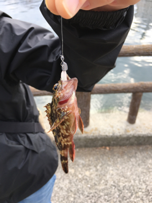 お散歩ついでに♪