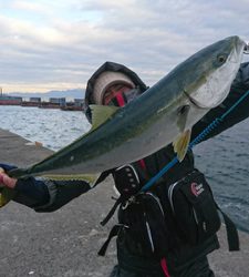 2017ラストに大当たり！