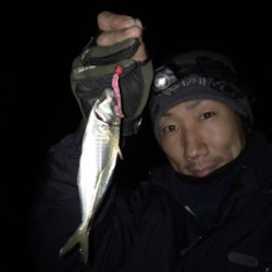 ナイトアジング☆