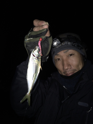 ナイトアジング☆