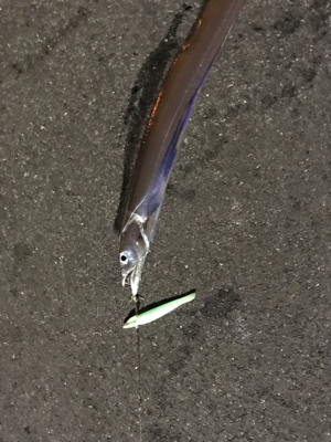 まだおるやん！