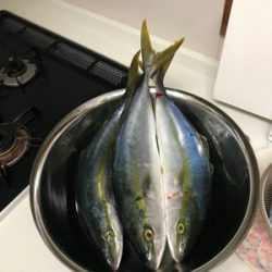 初ジギングにて