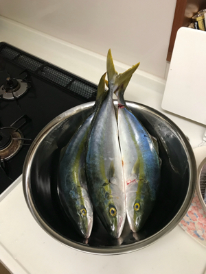 初ジギングにて