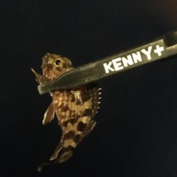 やっと風がおさまりました。