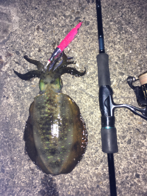 修行が足りてません