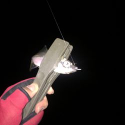 アジング絶好調！