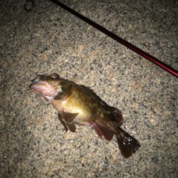 寒さに負けず！