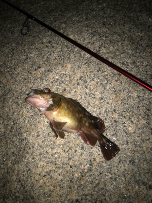 寒さに負けず！