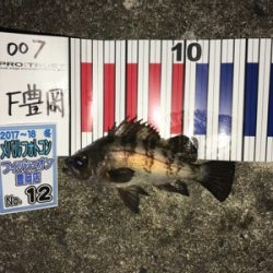 アーミーベイト  メバダートの鉛針。