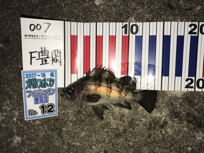 アーミーベイト  メバダートの鉛針。