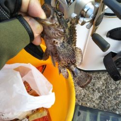 極寒暴風で海も釣りも大荒れ