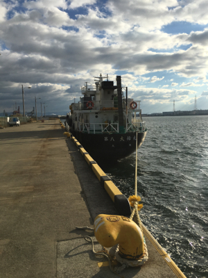 大阪奥湾サビキ 鶴浜緑地で中サバ