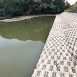 コイのルアー釣り