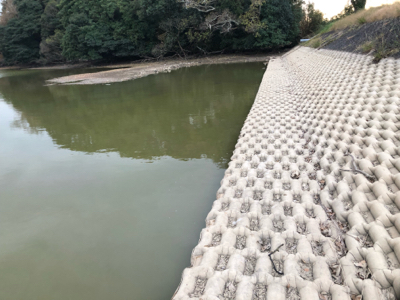 コイのルアー釣り