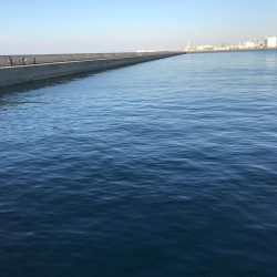 メバル狙いの予定で