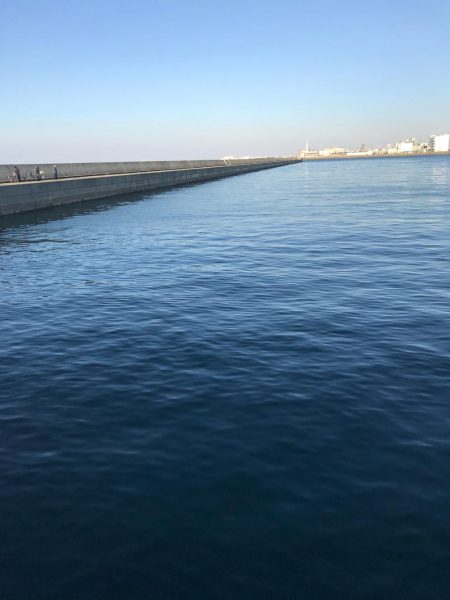 メバル狙いの予定で