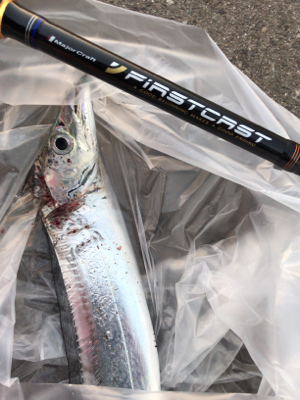 気温3℃何とか1匹