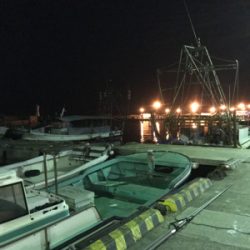 ちょっとだけよ