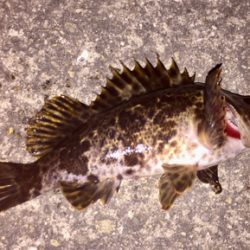 アタリ少なかったけど…