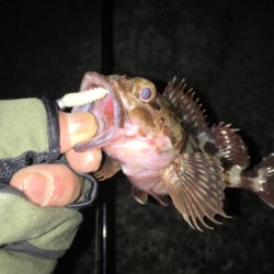 newエステルラインで！