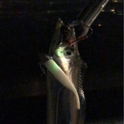 最後か？少し復調