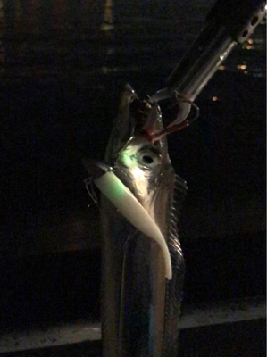 最後か？少し復調