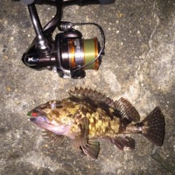 激渋です‥‥‥‥。