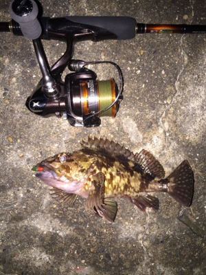 激渋です‥‥‥‥。