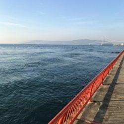 寒い、釣果も寒い(;_;)