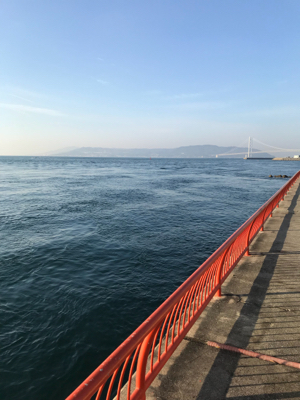 寒い、釣果も寒い(;_;)