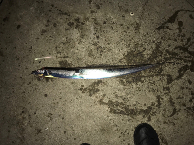 今年最後の釣行