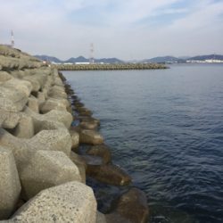 灘浜 3.4番間 フカセ