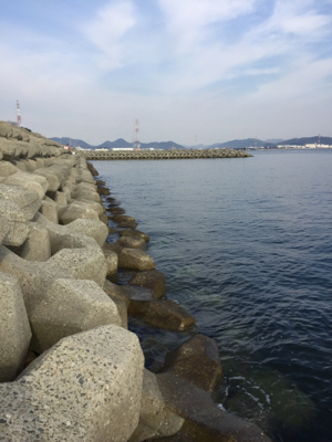 灘浜 3.4番間 フカセ