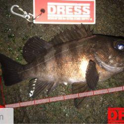 潮止まりからメバルの調子が上がる