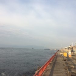 釣れるかな?お正月用の明石鯛