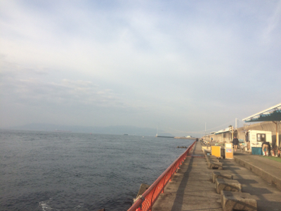 釣れるかな?お正月用の明石鯛