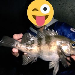 泉南ライトゲーム