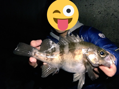 泉南ライトゲーム