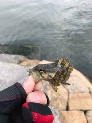 爆風のなかで...