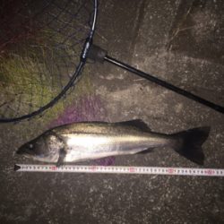 24日ぶりにε-(´∀｀; )