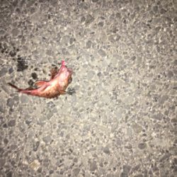 寒くても、、強風でも、、激釣