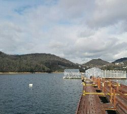 東条湖　ワカサギ釣り